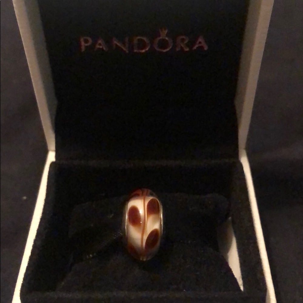 Pandora Murano Glass Charm